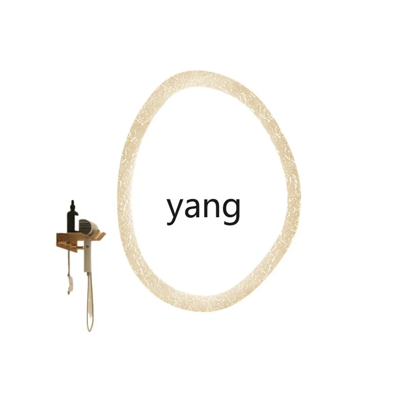 LMM toilet smart oval toilet retro bathroom special-shaped wall mirror