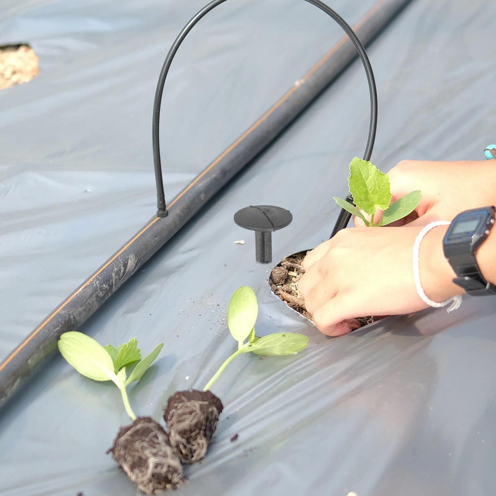 

30Pcs 11cm Durable Rustproof Plastic Stakes for Camping Hiking Canopy Gardening Tent Beach Blanket Hold Down Garden Stakes