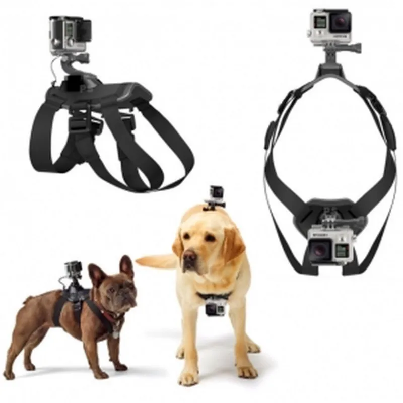 Hound Dog Fetch Harness Chest Strap Belt Mount For Gopro Hero 4 3+3 2camera