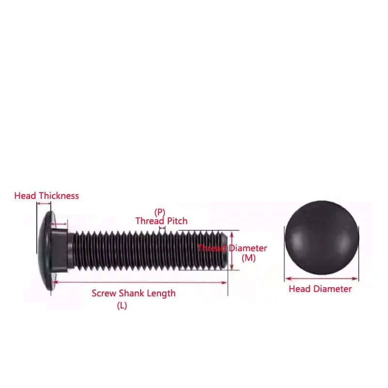 أسود 304 الفولاذ المقاوم للصدأ النقل البراغي كبيرة مستديرة رئيس ساحة الرقبة البراغي لرفوف M3 M4 M5 M6 M8 M10 M12 مدرب الترباس