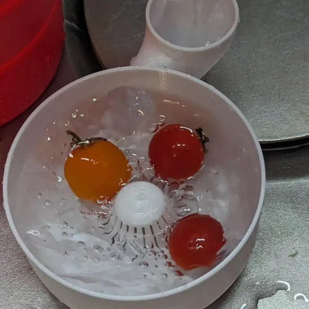 Space Saving Automatic Fruit Washer Efficient Water Reuse Dryer Vegetable Washer Food Washing Fruit Wash Bowl