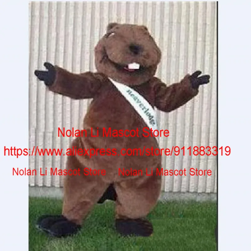 Costume de mascotte de souris marron en peluche oligMaterial, ensemble de dessin animé, jeu de plis, taille adulte, carnaval, cadeau de vacances, haute qualité, 313