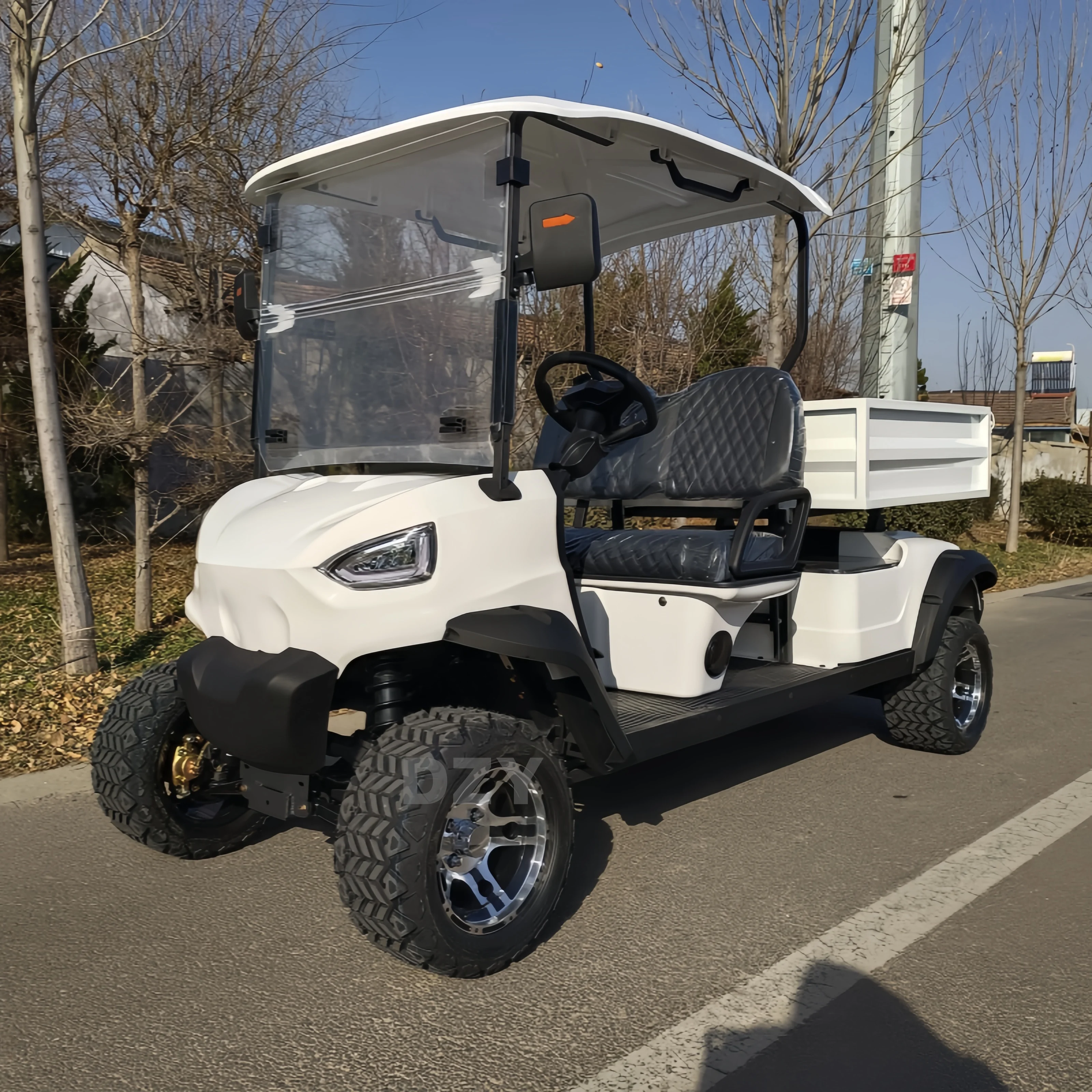 2025 Заводская поставка Мини-электрическая внедорожная тележка для гольфа Высокое качество Клубный автомобиль 2 сиденья 5 кВт Двигатель Сертификат EEC 48 В-72 В Оптовая продажа