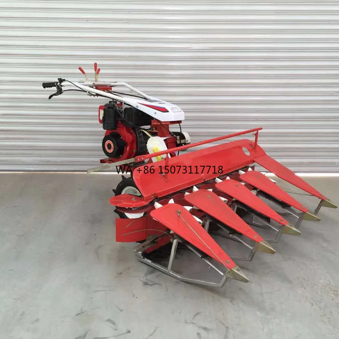 Combinación de mitad de alimentación el precio de la máquina de cosecha de arroz, máquina agrícola de cosecha de trigo rápida, 900