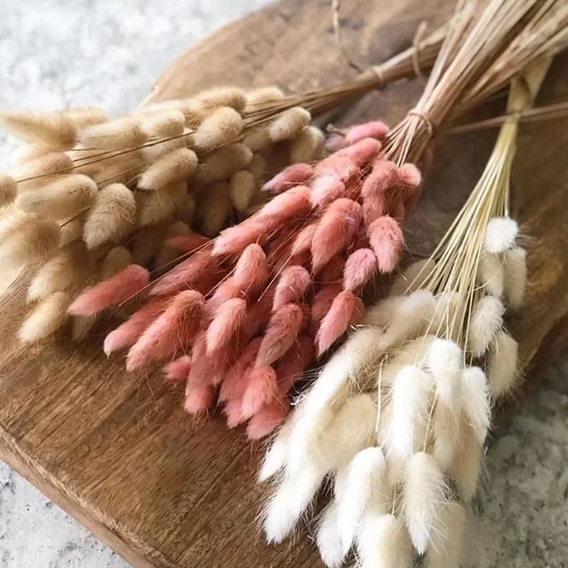 

60Pcs Dried Flowers Rabbit Tails Grass Bouquet Home Decor Diy Natural Fluffy Pampas Floral Arrangement Rustic Wedding Decoration