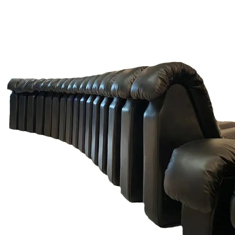 

Serpentine, leather, sofa, creative, free, module, combination