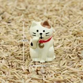 Lucky Cat