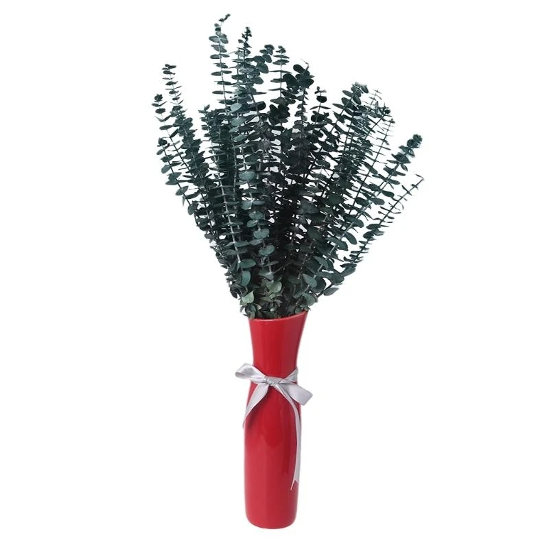 

20 шт. консервированные свежие ветки эвкалипта, сушеные стебли, листья растений, букет D 15UB