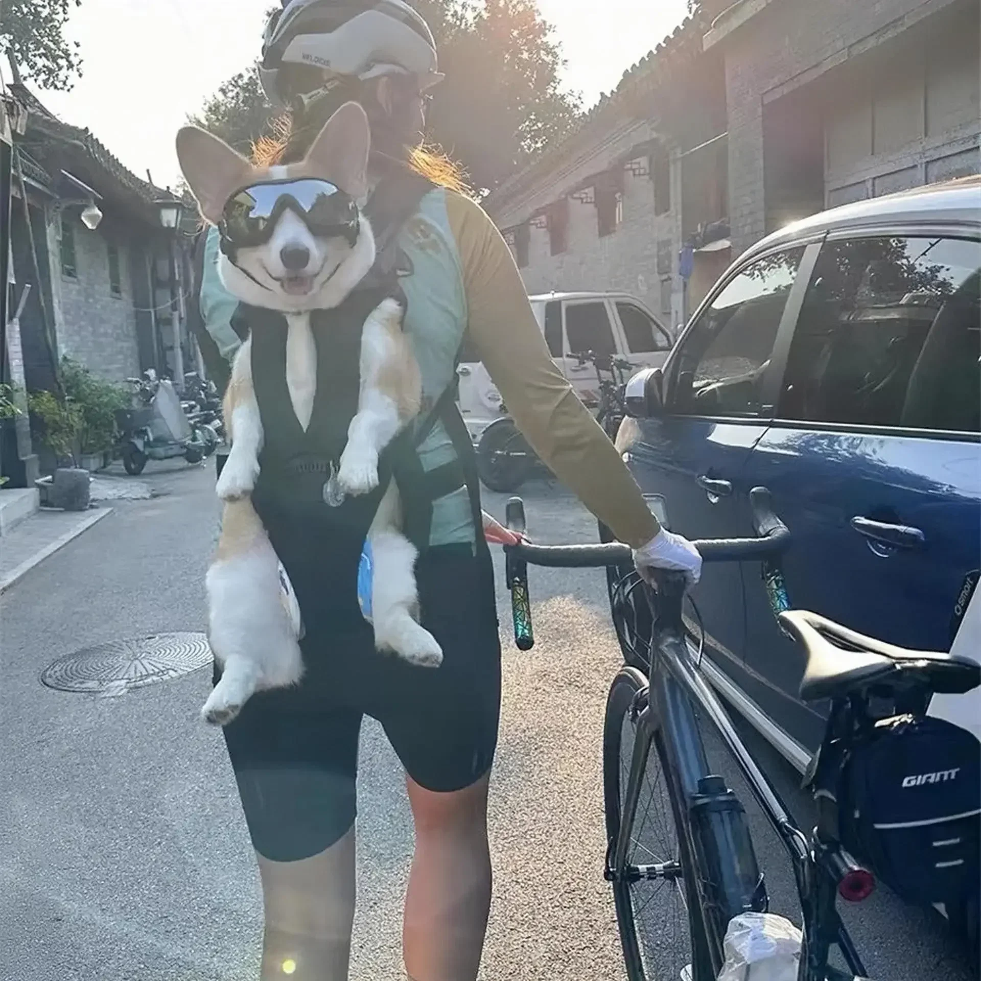 High Quality Dog Carrier Backpack Adjustable Pet Carriers Front Facing Motorcycle Puppy Travel Bag Cycling