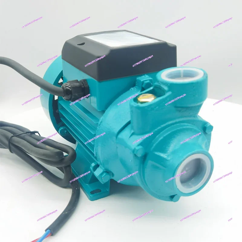 DC 12V 24V 48V Water Pump Brushed Motor Booster Pump  High-lift Large Flow Solar Battery Manual Self-priming