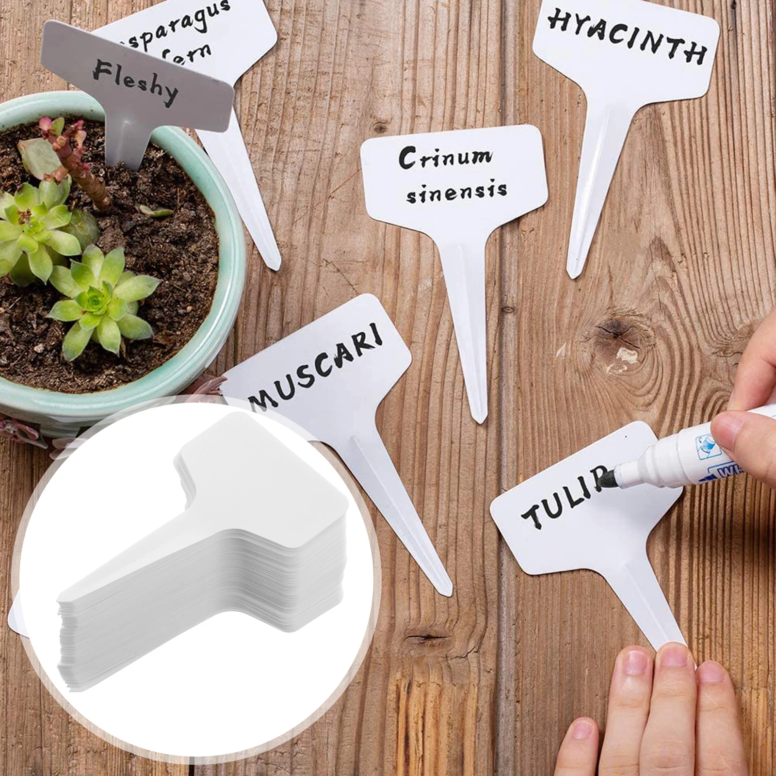

100 Pcs Plant Labels Mini Garden Tags Durable Plastic Waterproof Flower Name Display Gardening Marker Cards Outdoor Use