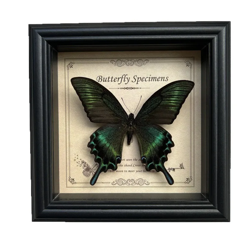 

Real Butterfly Specimen in Frame, Creative decorations, Vintage Natural History Wall Art for Living Room, Study, Office