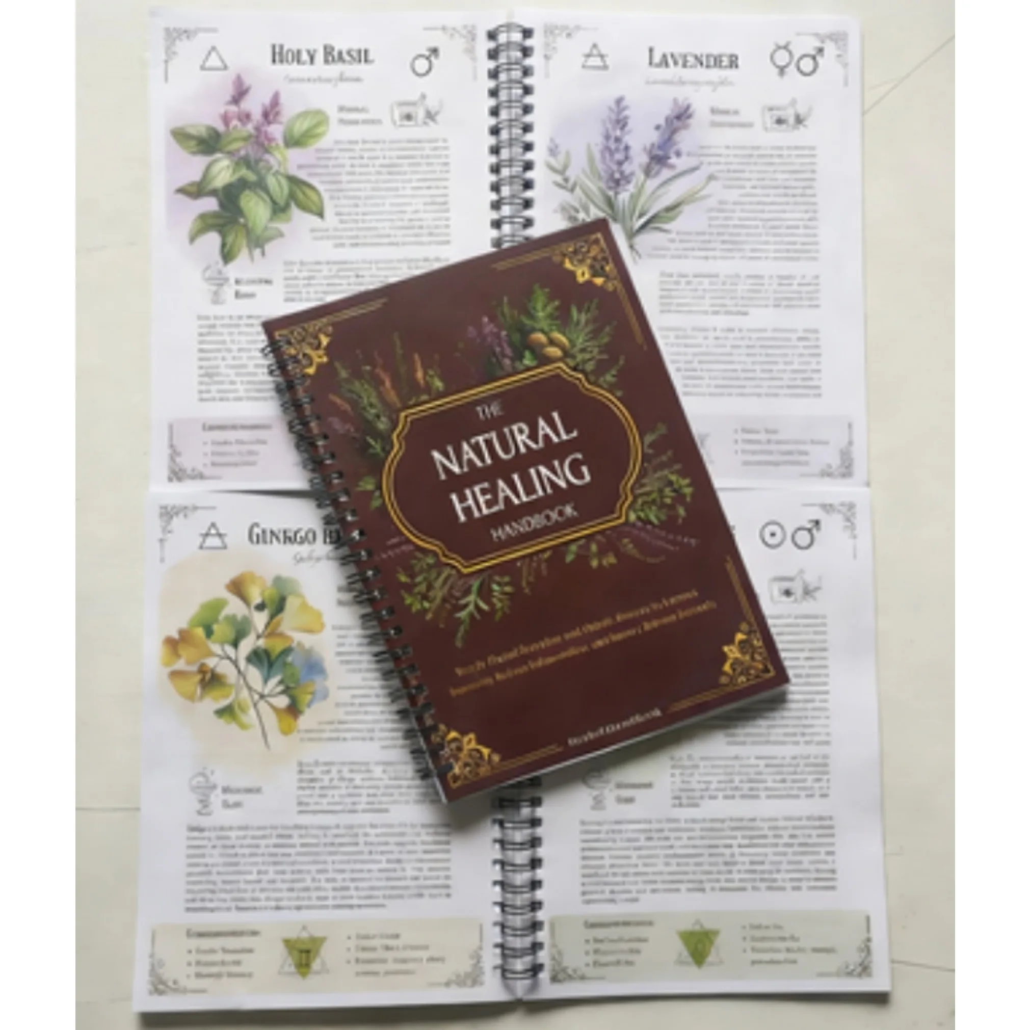 

Руководство по естественному оздоровлению в формате спирального переплета с травяными средствами и рецептами для здоровья сердца, нормализации уровня сахара в крови и повышения концентрации внимания, 25x17.6см