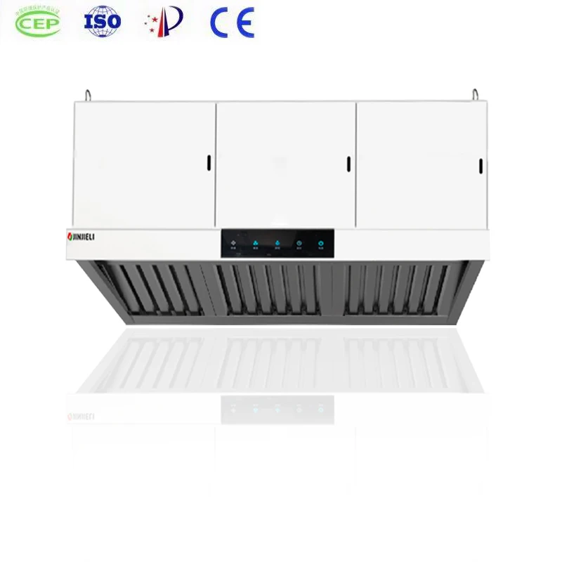 Factory Direct Customizable Stainless Steel Restaurant Kitchen Automatic Cleaning Easy Maintenance Ductless Hood for Pizza Shop