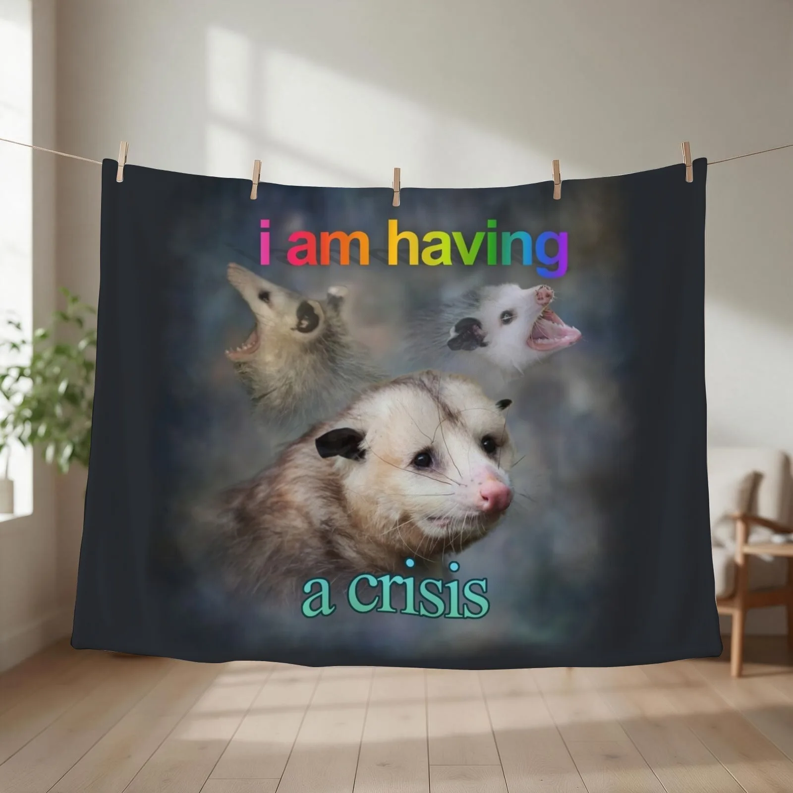 I am having a crisis possum word art Throw Blanket Furrys for babies Decoratives Stuffeds Blankets
