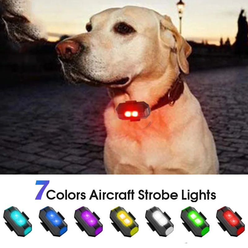 Dog Collar Night Safety Glowing Pendant LED Flash Lights Pet Leads Accessories Glow In The Dark Bright Necklace Dog Collar