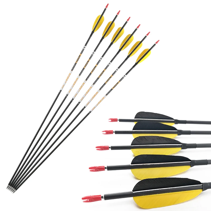 350 400 450 500 600 700 800 900 Spine Archery Carbon Arrows with Feather for Compound Recurve Bow Hunting