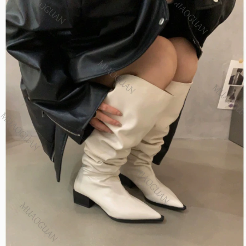 Women Over The Knee High Boots Fashion Suede Pointed Toe Shoes Autumn Winter Thick Middle Heel Western Cowboy Long Botas Mujer