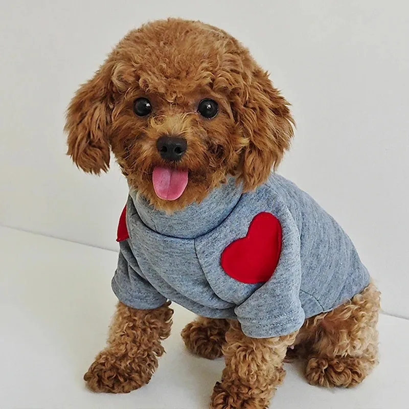 Warm Dog Clothes Windproof Autumn Winter Dog Hoodies for Small Dogs Cats Fashion Teddy Bichon Yorkshire Costume Pet Supplies