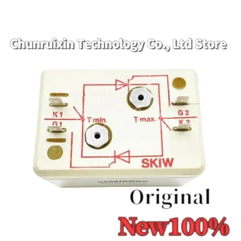 

SKIW700/12 SKIW900/12 SKIW800/12 SKIW500/14 SKIW900/10 Module