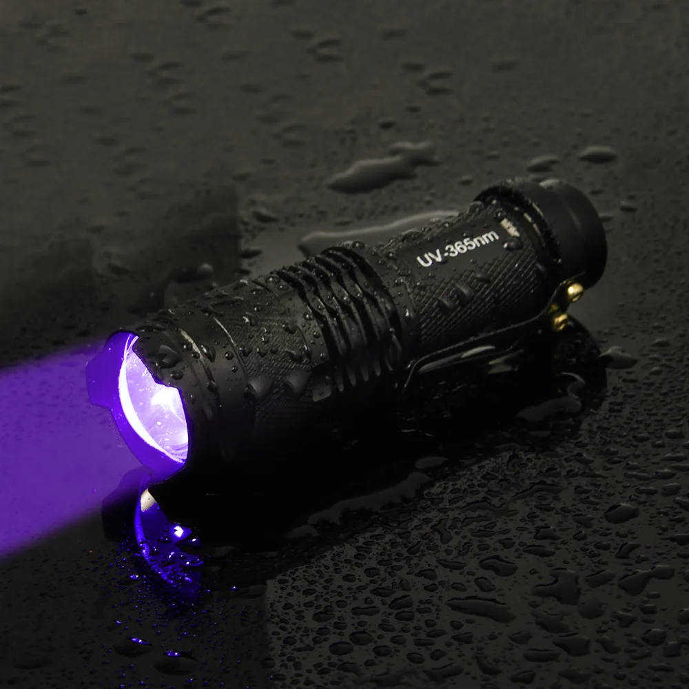 Imagem -04 - Zoomable Mini Lâmpada Ultravioleta Lanterna uv Pet Mancha de Urina Dinheiro Ferramentas de Detector de Escorpião Ferramentas de Iluminação Portátil 365nm 395nm