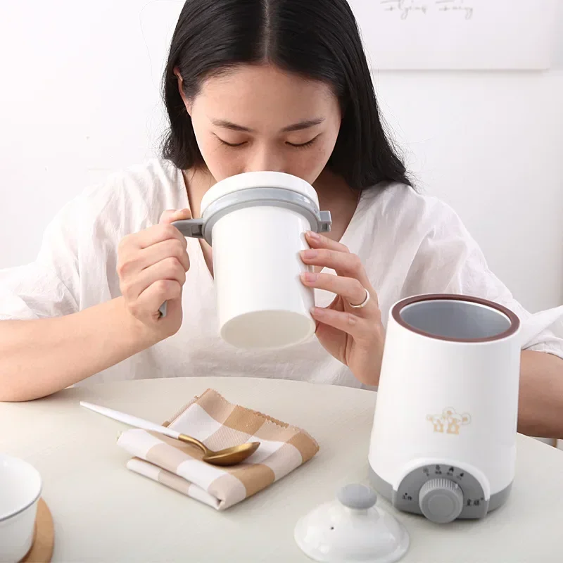 Mini Electric Thermal Kettle Ceramics Water Heating Cup Milk Boiler Noodles Porridge Stew Pot Baby Food Slow Cooker Teapot 220V