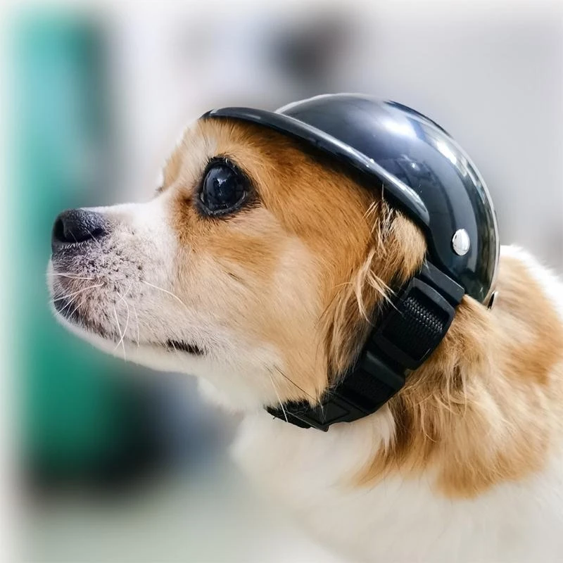 Pet Helmet Dog for Cat Safety Riding Cap Motorcycle Bike Soft Padded Mini Hat best sale