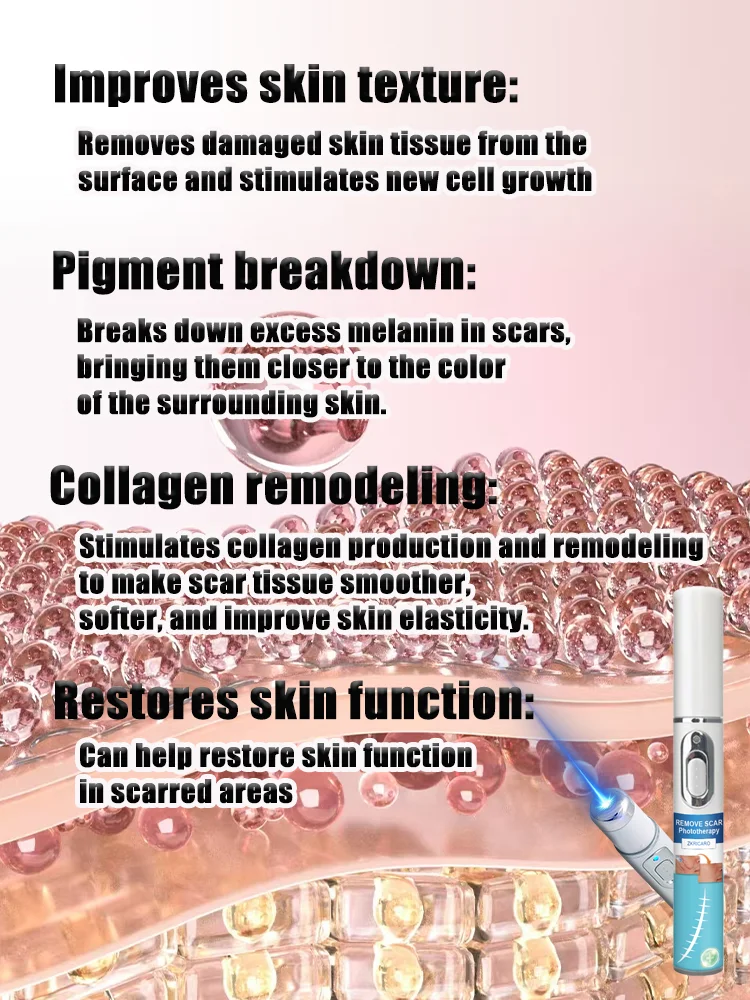 Paniyanicastitute FestivallS: SSs BonbonSFestivall Festivall Festivall Festivall Festivall