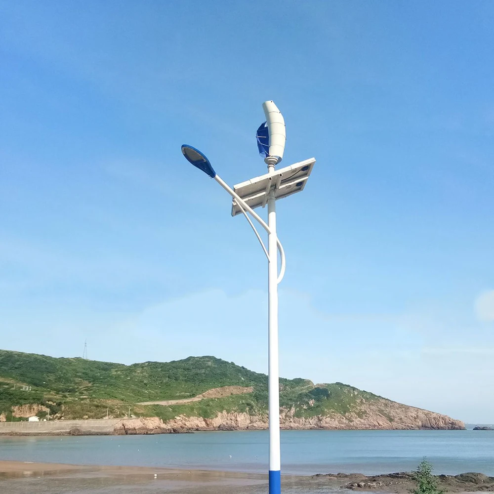 Wind Turbine Generator 12V 24V 48V With PV Solar Panel Hybrid MPPT Controller Off Grid System Free Energy 220V Home Farm System