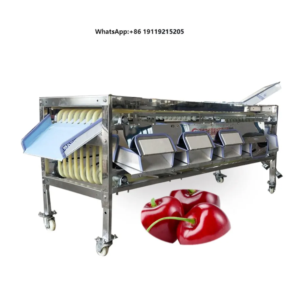 Fruit Grading Size Blueberry Sorting Grader Cherry Orange Berries Grading Machine Fruit Sorter Machine