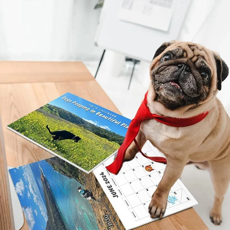 Anjing kotoran di tempat yang indah kalender 2024, lucu Wall Art Gag Humor hadiah kalender Prank, hadiah kalender untuk Natal tahan lama