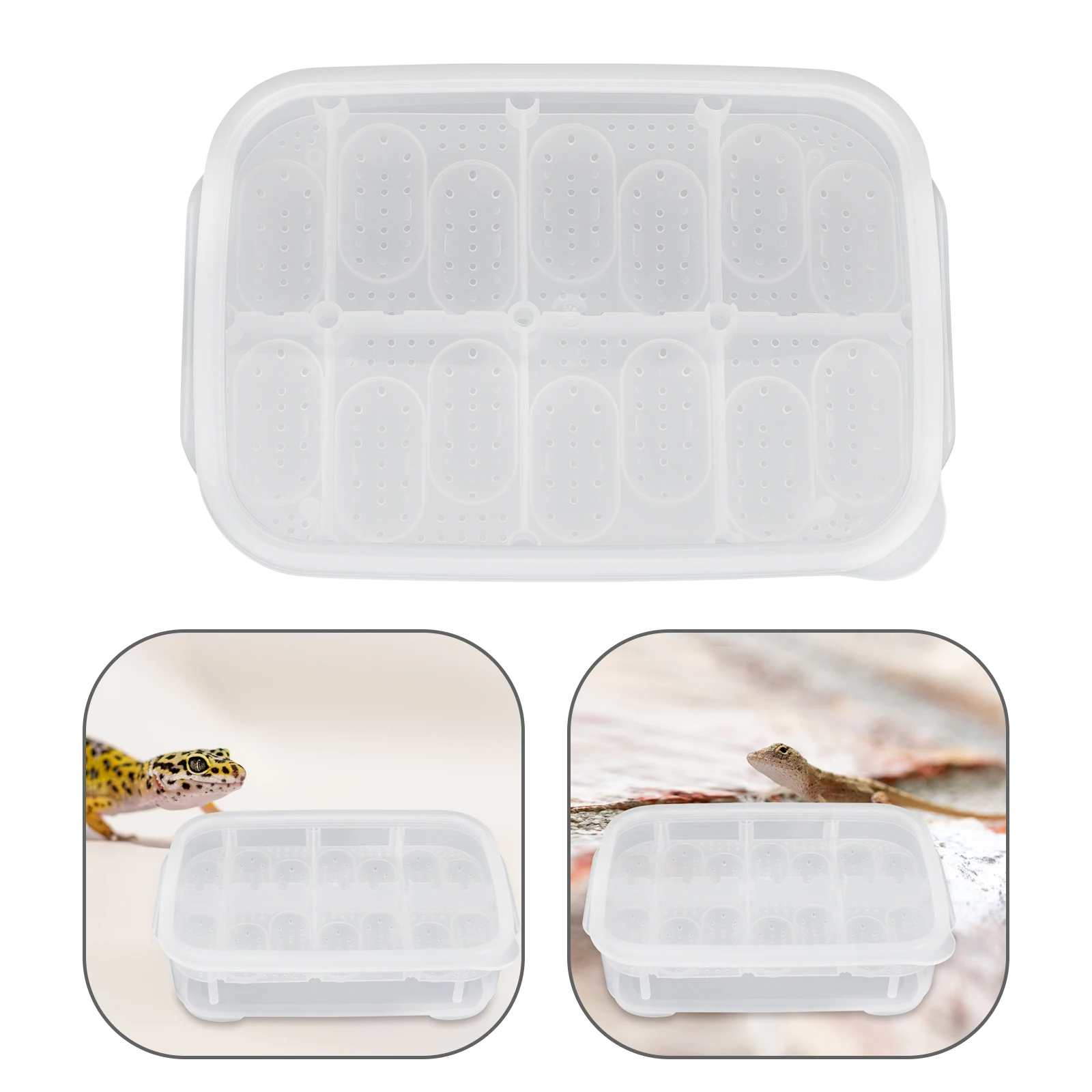 

Professional Egg Incubator Crawler Hatching Box Lizard Crystal Reptile White Plastic Gecko