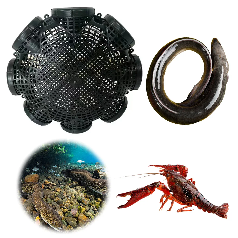 

6/8 Holes Crayfish Catcher Crab Crayfish Shrimp Smelt Eels Traps Mesh Fishing Trap Fishing Accessories