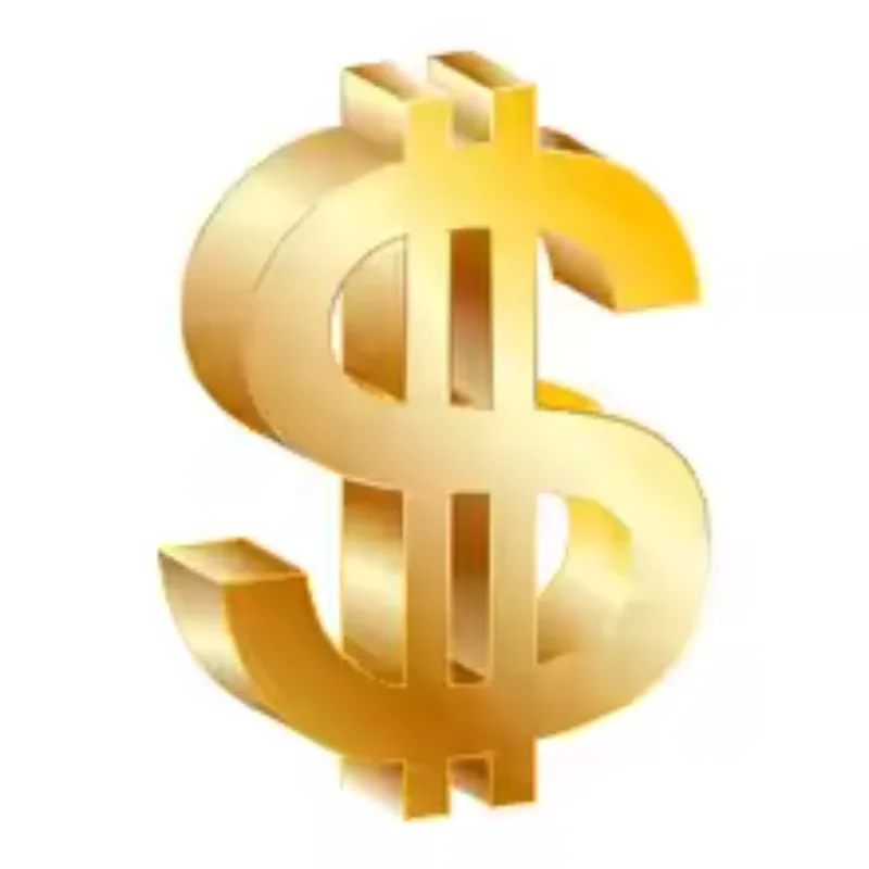 Extra Cost Supplementary Payment image 4