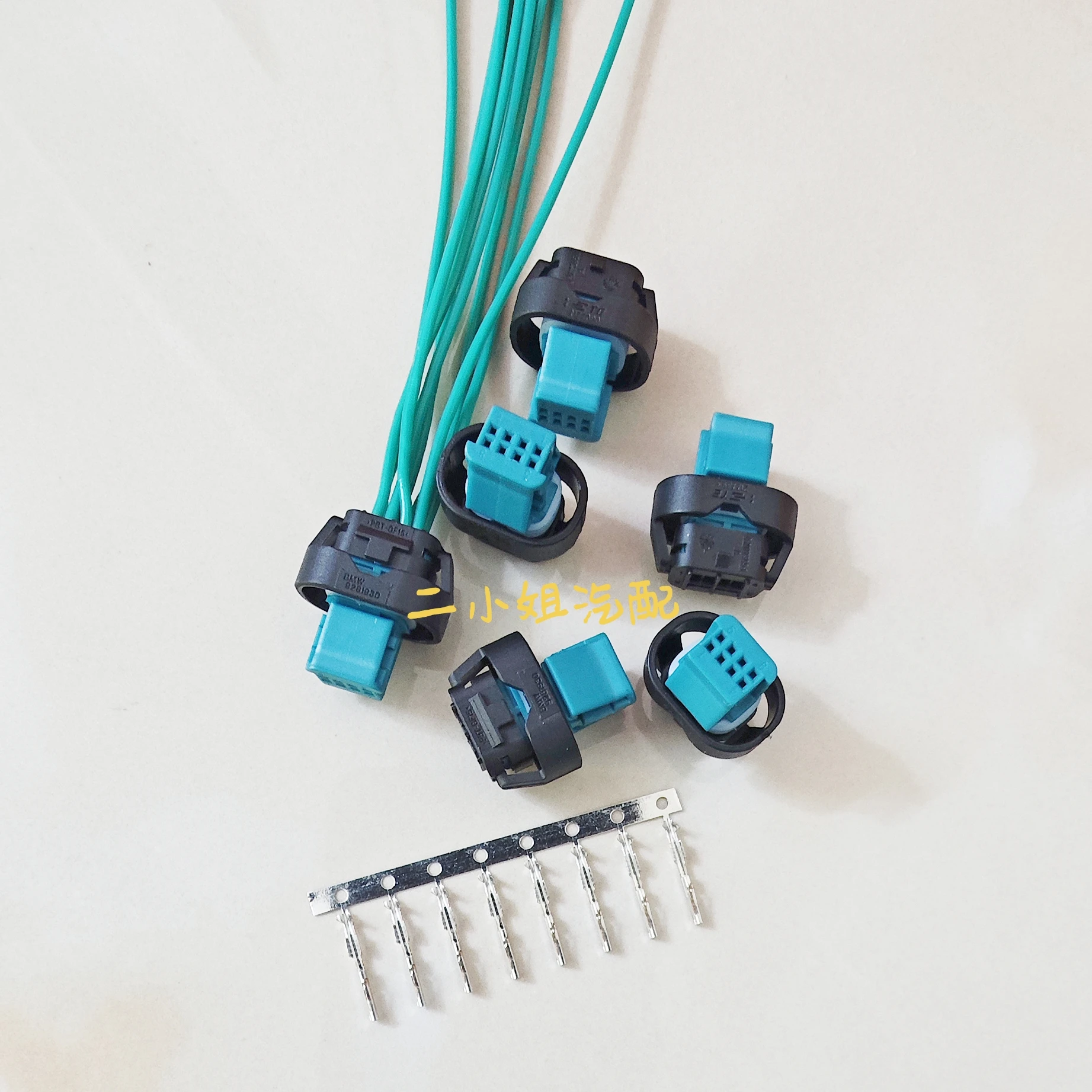 B Mw ICAM2 Reversin… - image