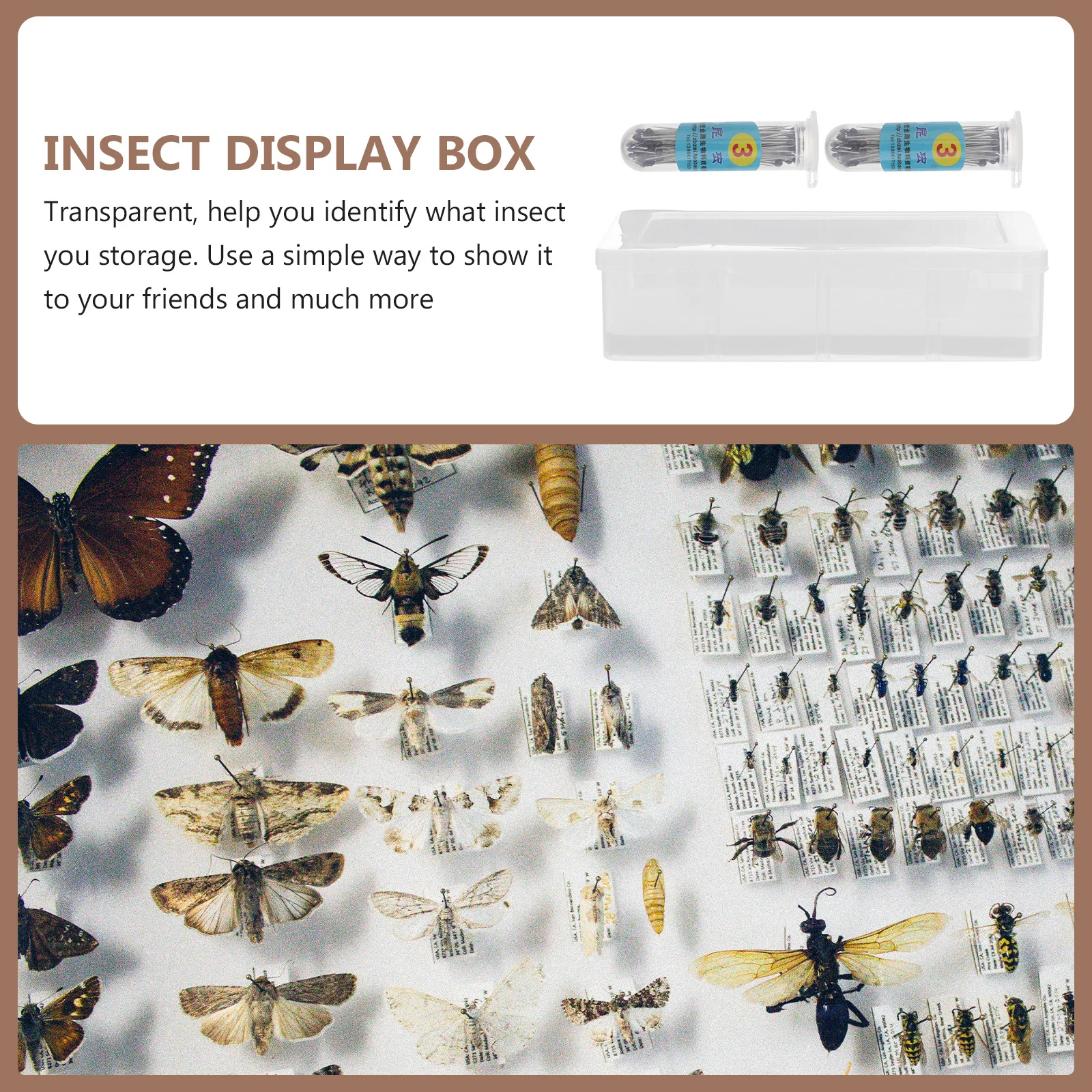 

1Set Specimen Box Transparent Durable Display Kit for Specimen Collection Plant Insect Jewelry Coin Storage Case