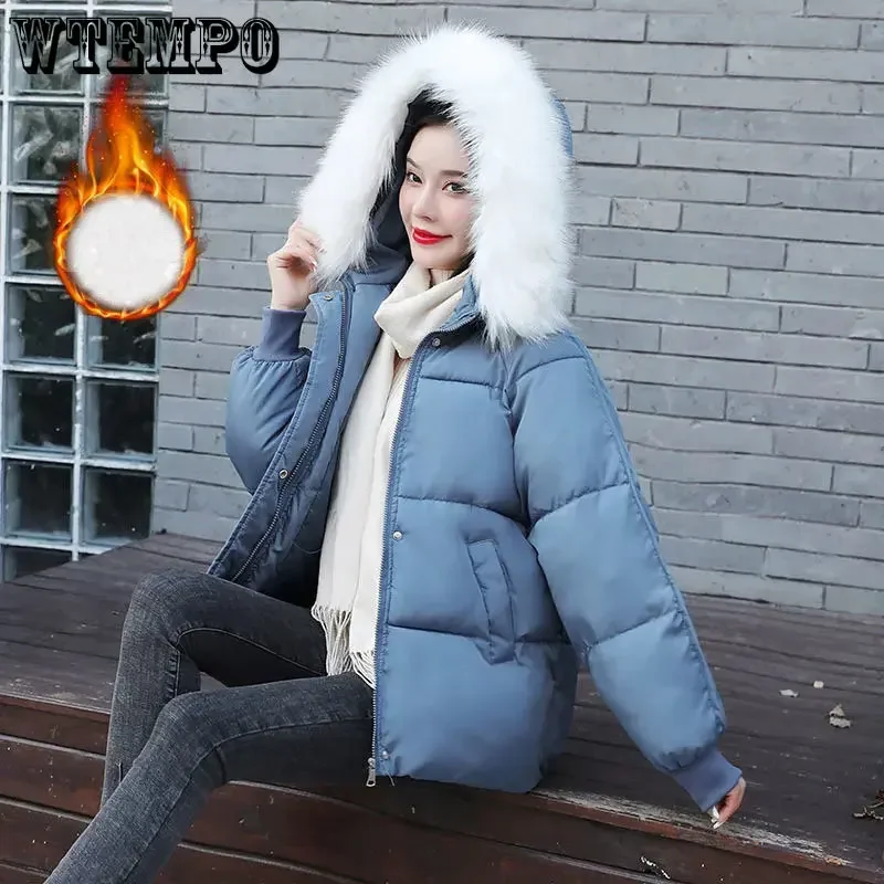 Wtempo sólido com capuz parkas feminino inverno manga longa zíper casacos curtos senhora casual gola de pele quente algodão acolchoado jaquetas