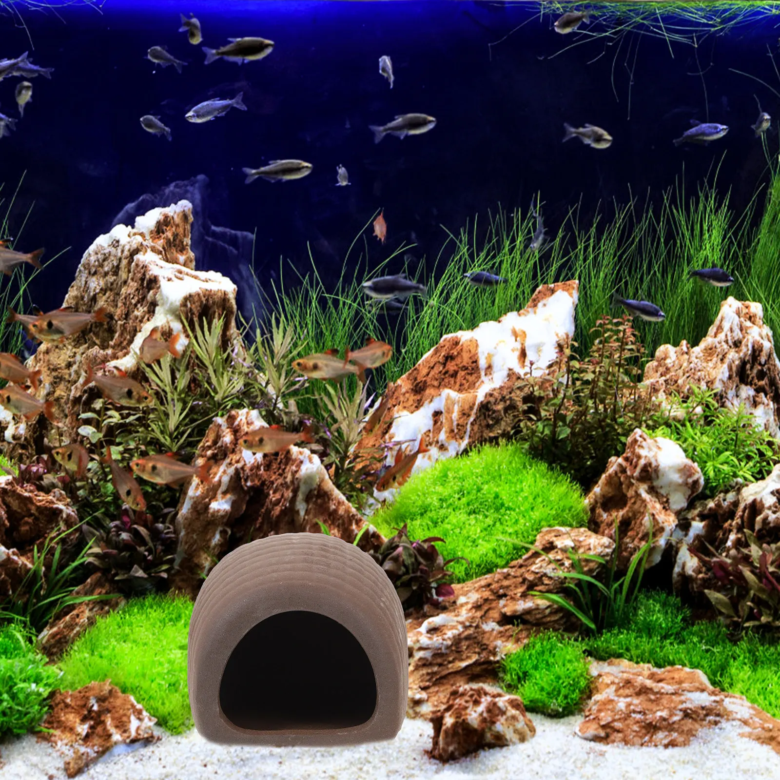 2Pcs Ceramic Aquarium Decor Fi - Aquarium Fish Hiding Spot recension och pris
