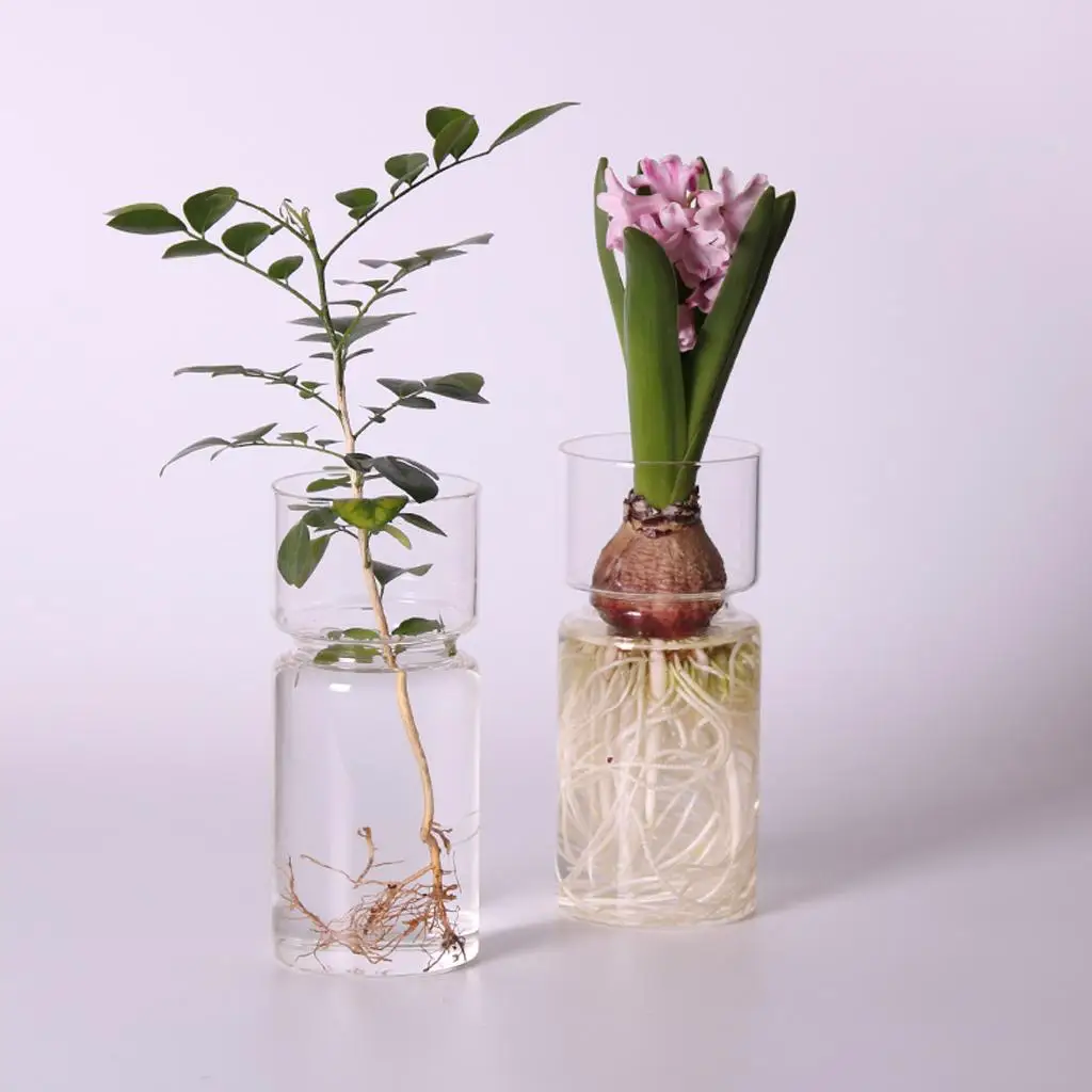 Glass Vase Clear Hyacinth Flower Hydroponics Planter Pot Terrarium Container for Home Table Decorative Wedding Gifts 6.5x15cm