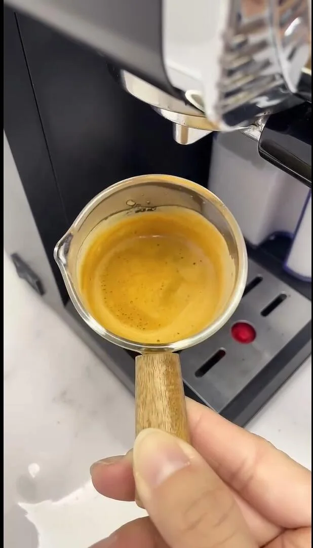 NEW Compact Coffee Maker with Milk Steam 20Bar Automatic Instant Heating Electric Espresso Coffee Machine Portable
