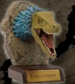 Velociraptor