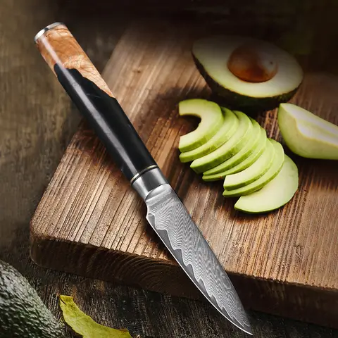Bilashmart TURWHO 3.5 Inches Paring Knife 67 Layers Damascus Steel Kitchen Knife Knife Stainless Steel Fruit Peeling Knivese Table Cutter
