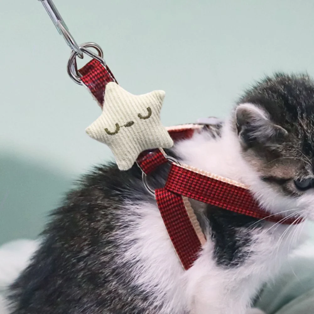 Sicheres Gehen Atmungsaktives Katzengeschirr Verstellbare Leichte Haustierleine Weiche Anti-Entflucht-Hundeleine für Tägliches Gehen