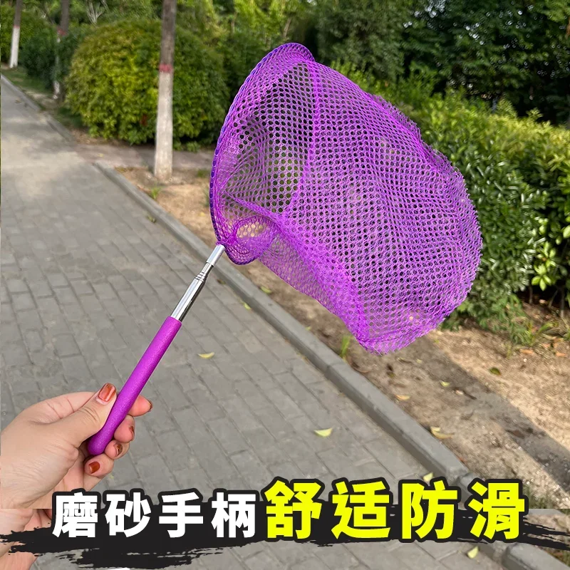 Obrázek 4: Včelařství supplies: výkonný úl chytá pro honeybee bezpečnosti