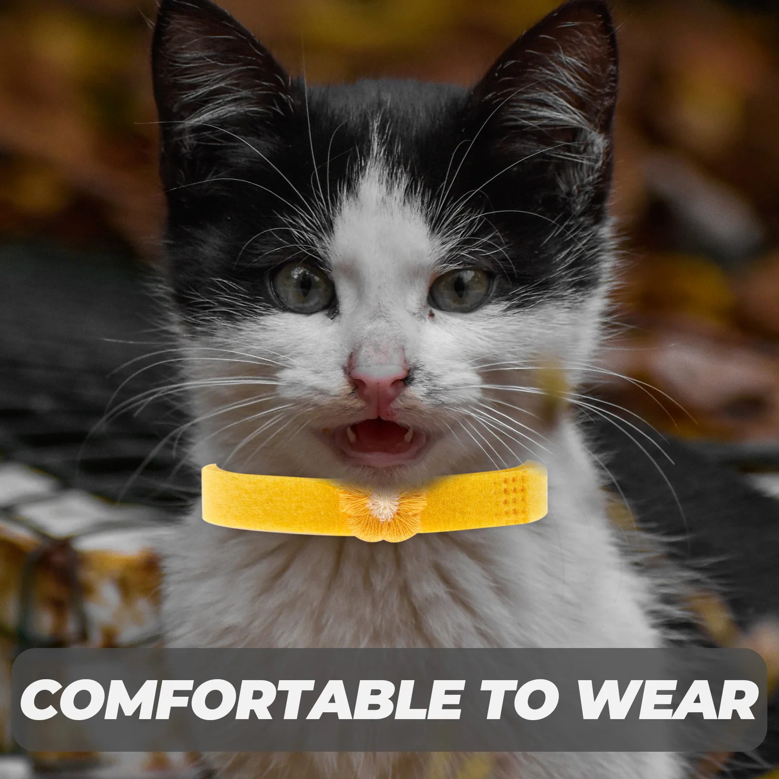 

Newborn Pet Identification Collars Adjustable Puppy Kitten ID Neck Decorations Animal Supplies Dog Cat Accessories