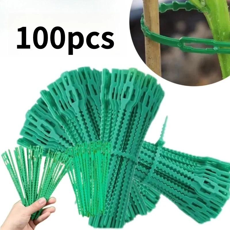 100Pcs Adjustable P…