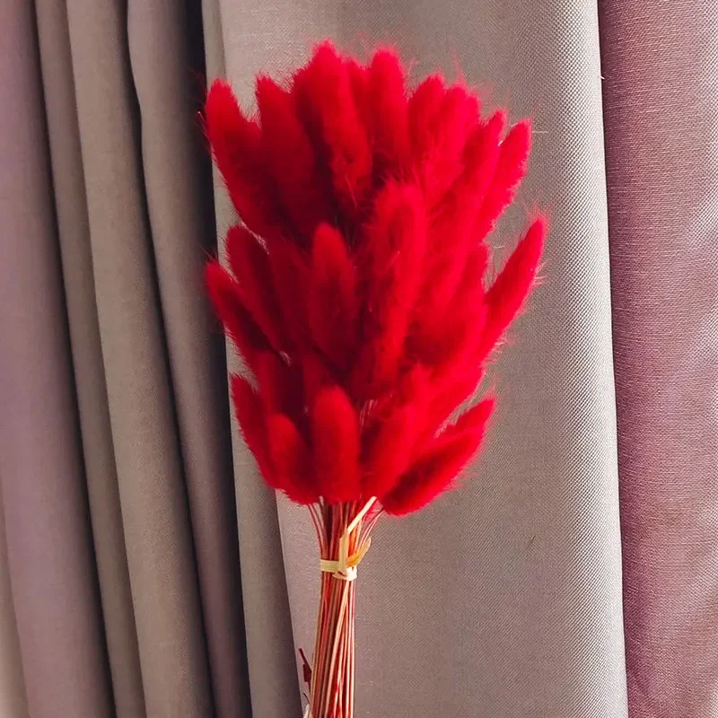 Variant: Red