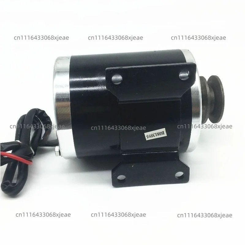 500W1000W48V36V24V Permanent Magnet DC Brushed High Speed Pulley Drive Motor MY1020