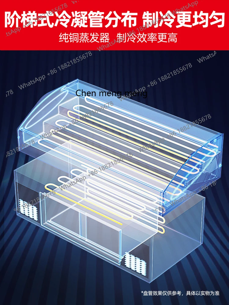 خزانة عرض الثلج، فريزر فواكه ديلي مجمد، شواء المأكولات البحرية، خزانة لا كارت #5