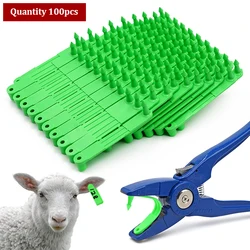 100pcs Livestock Sheep Goat Ear Tags Ear Laser Typing Head Earrings for Farm Animals Idetification Card